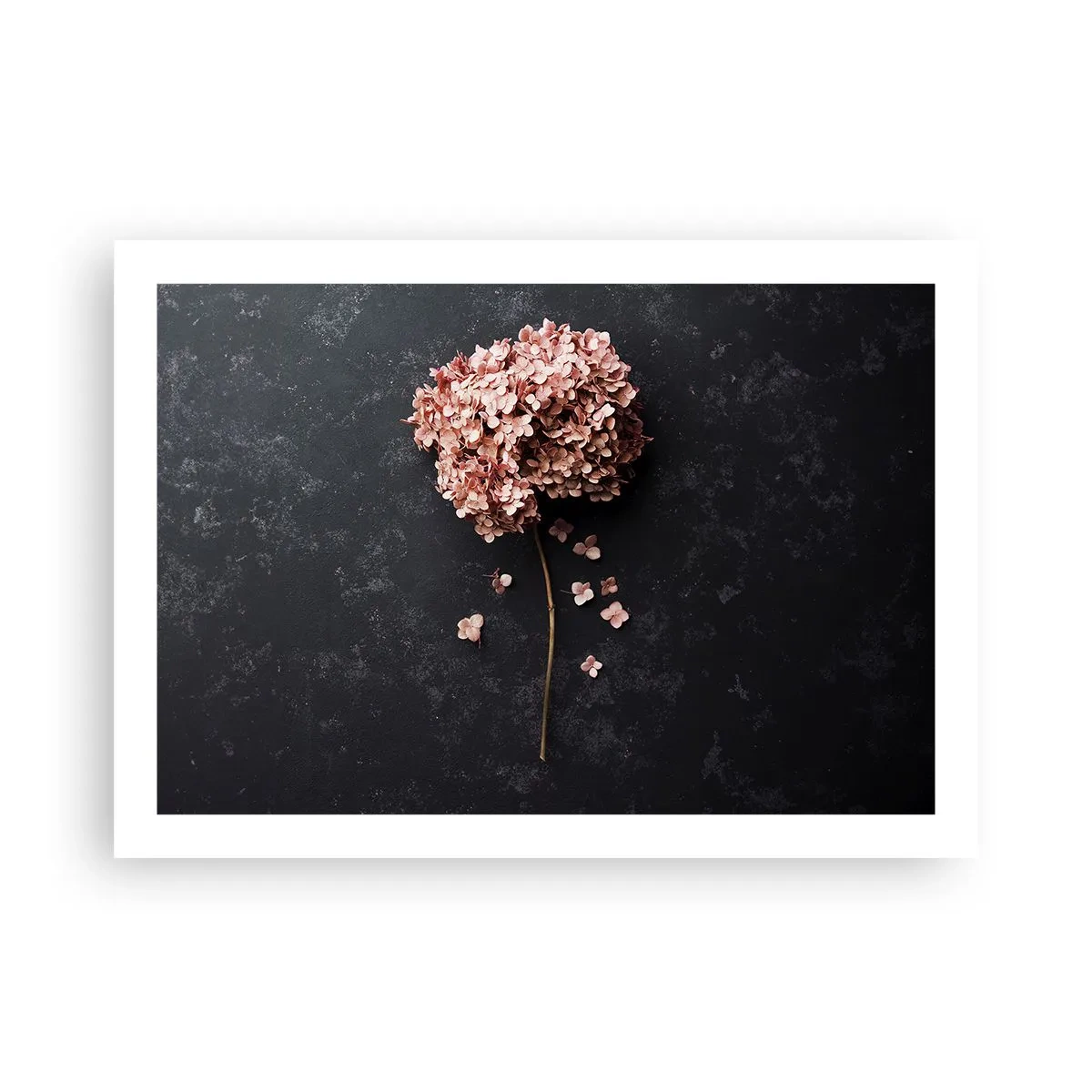 Póster - Un signo verdaderamente romántico - 70x50 cm