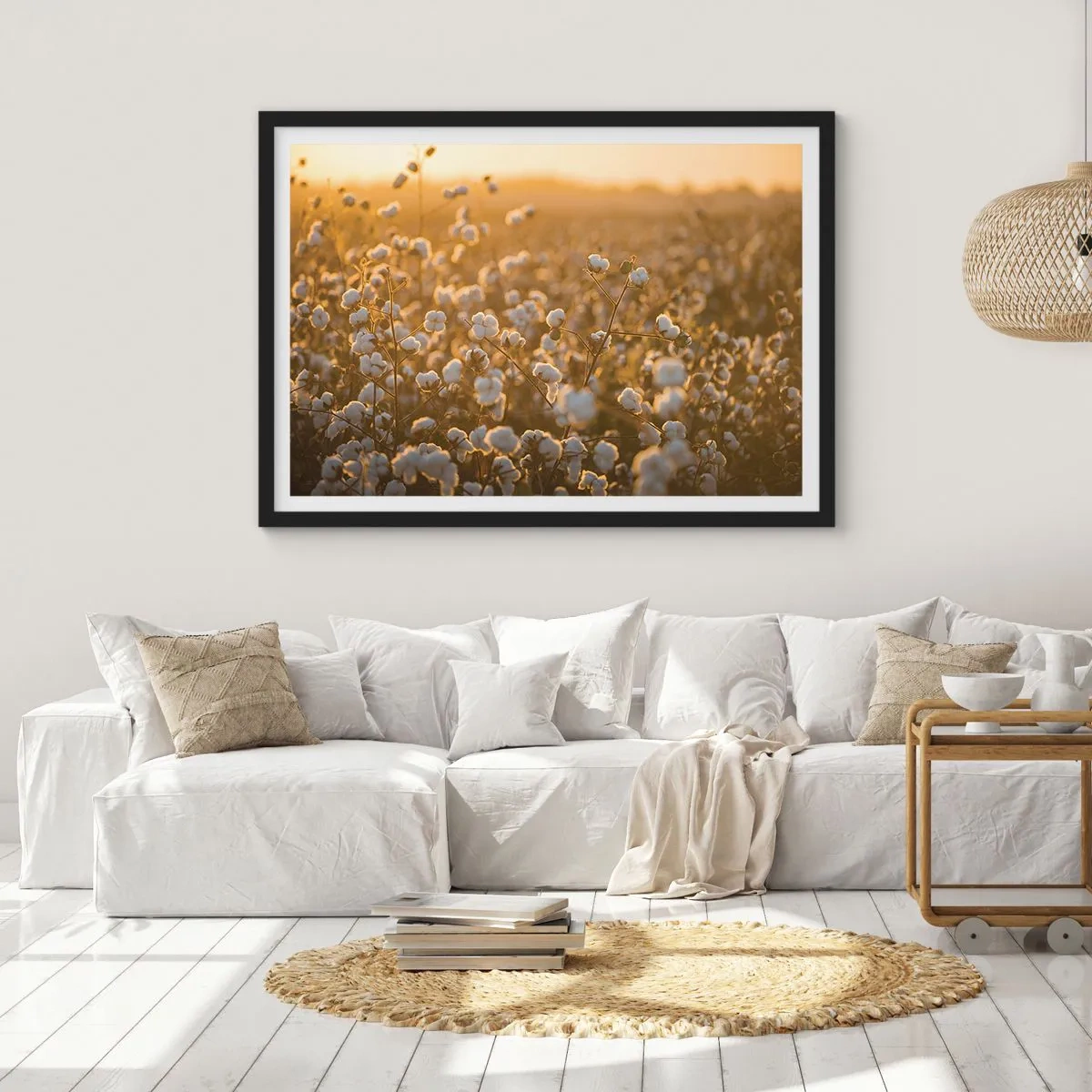 Póster en marco negro - Un campo de algodón bajo la cálida luz del sol poniente. - 70x50cm - Un campo esponjoso - Decoración de pared moderna para salón y dormitorio ARTTOR