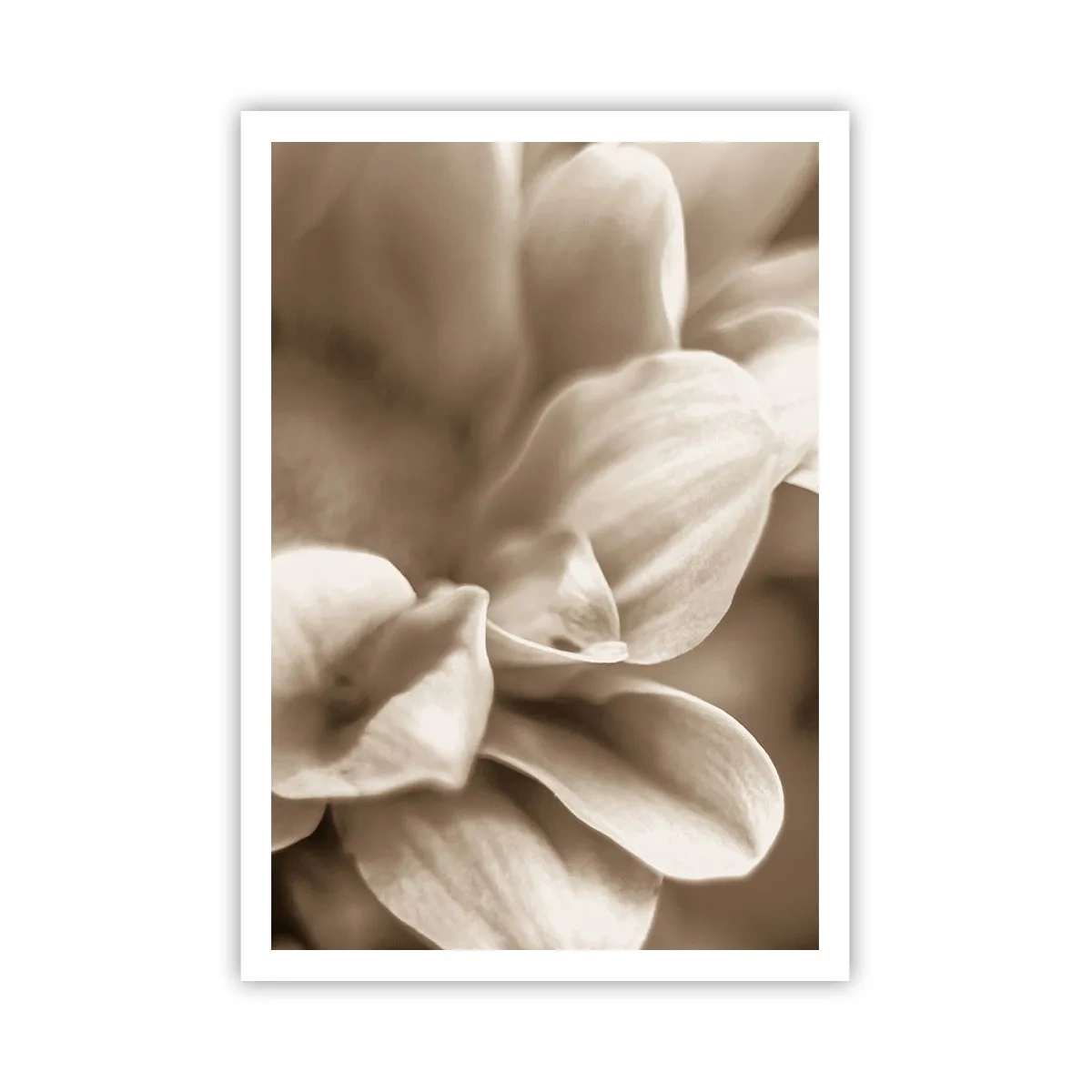 Póster - Suave como una sonrisa - 70x100 cm