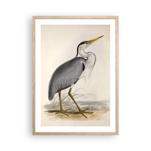Póster en marco roble claro - Encanto de garza - 50x70 cm