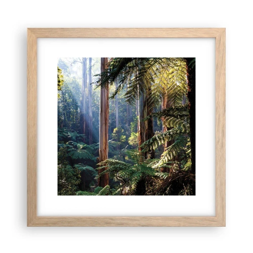 Póster en marco roble claro - Un cuento de hadas del bosque - 30x30 cm