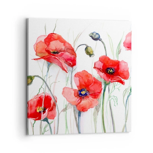 Cuadro sobre lienzo - Impresión de Imagen - Flores polacas - 70x70 cm