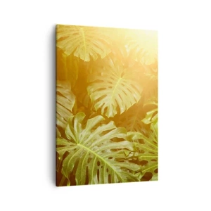Cuadro sobre lienzo - Impresión de Imagen - Hojas de monstera a la luz del sol sobre un fondo natural. - 50x70cm - Hacia el verdor... - Decoración de pared moderna para salón y dormitorio ARTTOR