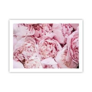 Póster - Cálido y fragante - 70x50 cm