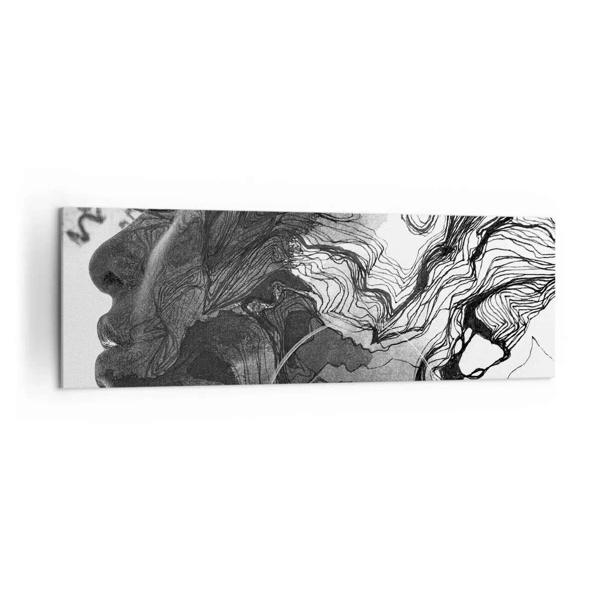 Cuadro sobre lienzo - Impresión de Imagen - Rostro abstracto en blanco y negro con líneas dinámicas. - 160x50cm - Enredada en sueños - Decoración de pared moderna para salón y dormitorio ARTTOR