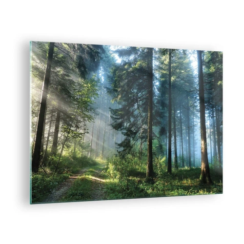 Cuadro sobre vidrio - Impresiones sobre Vidrio - Un sendero forestal en la niebla de la mañana entre árboles altos. - 70x50cm - Radiante por la mañana - Decoración de pared moderna para salón y dormitorio ARTTOR