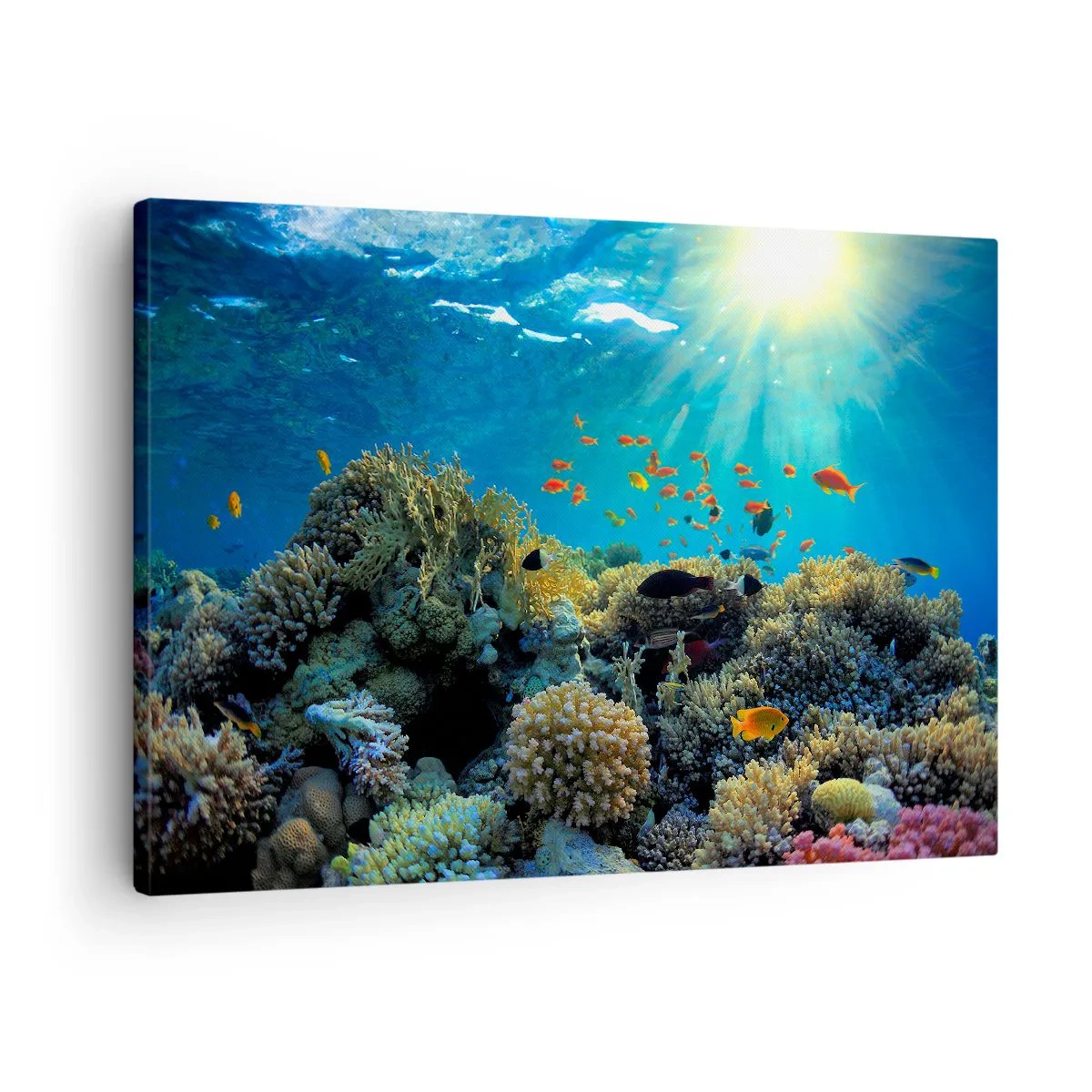 Cuadro sobre lienzo - Impresión de Imagen - Arrecife de coral con peces bajo los rayos del sol bajo el agua. - 70x50cm - Tesoros submarinos - Decoración de pared moderna para salón y dormitorio ARTTOR
