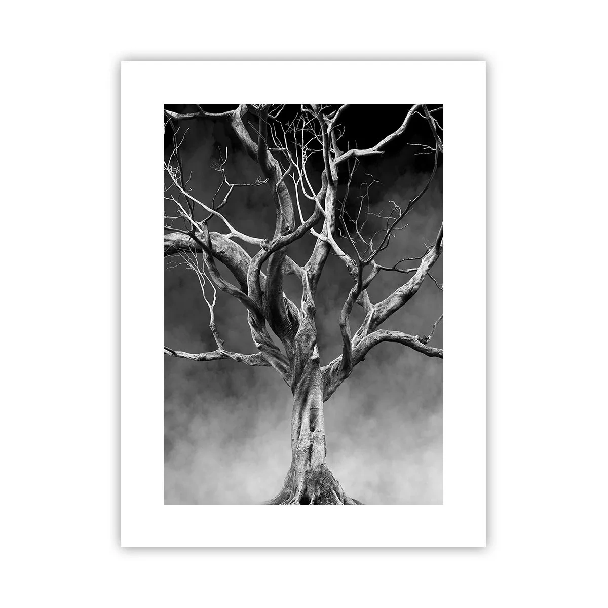 Póster - Primordial y sagrado - 30x40 cm