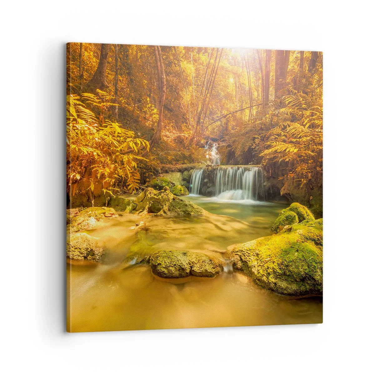 Cuadro sobre lienzo - Impresión de Imagen - Cascada forestal en oro - 60x60 cm