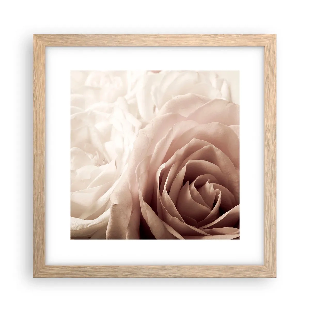 Póster en marco roble claro - En el corazón de una rosa - 30x30 cm