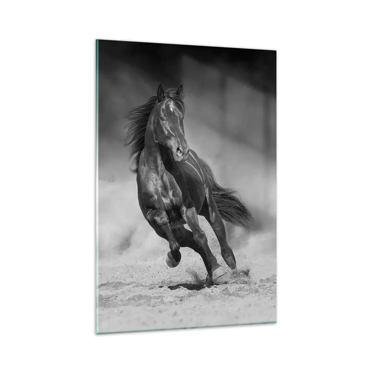 Cuadro sobre vidrio - Impresiones sobre Vidrio - Un caballo blanco y negro galopando por la arena. - 80x120cm - Digno del propio emir - Decoración de pared moderna para salón y dormitorio ARTTOR