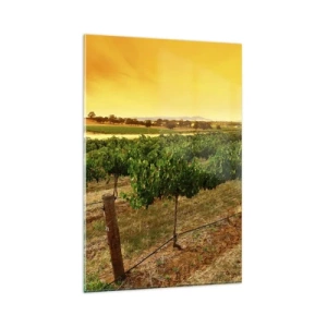 Cuadro sobre vidrio - Impresiones sobre Vidrio - Vides en una plantación al atardecer dorado - 80x120cm - Un trago del sol - Decoración de pared moderna para salón y dormitorio ARTTOR