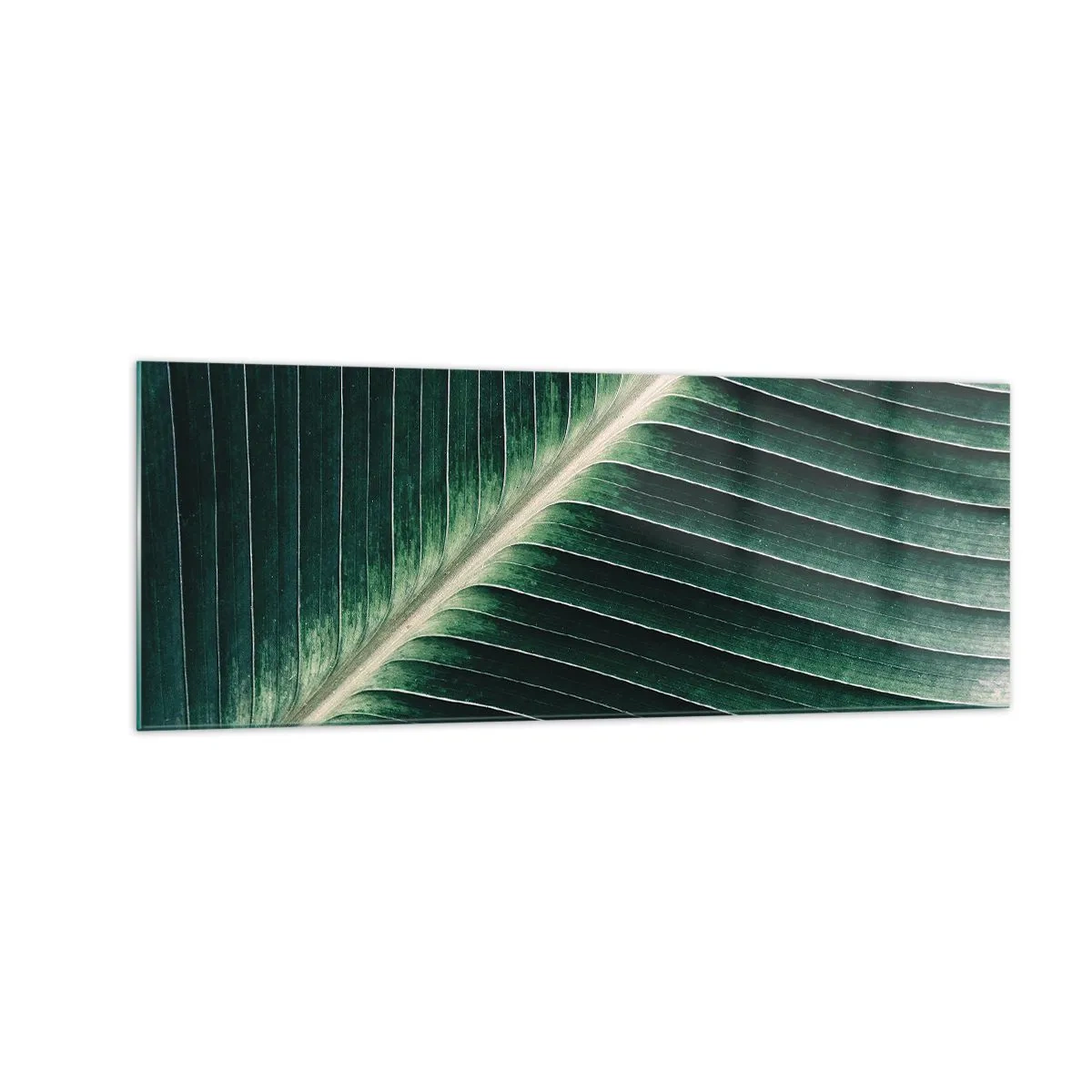 Cuadro sobre vidrio - Impresiones sobre Vidrio - Primer plano de la estructura de una hoja verde. - 140x50cm - El ritmo de la naturaleza - Decoración de pared moderna para salón y dormitorio ARTTOR