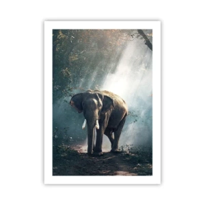 Póster - Un elefante tomando el sol en un bosque denso. - 50x70cm - Un paseo tranquilo - Decoración de pared moderna para salón y dormitorio ARTTOR