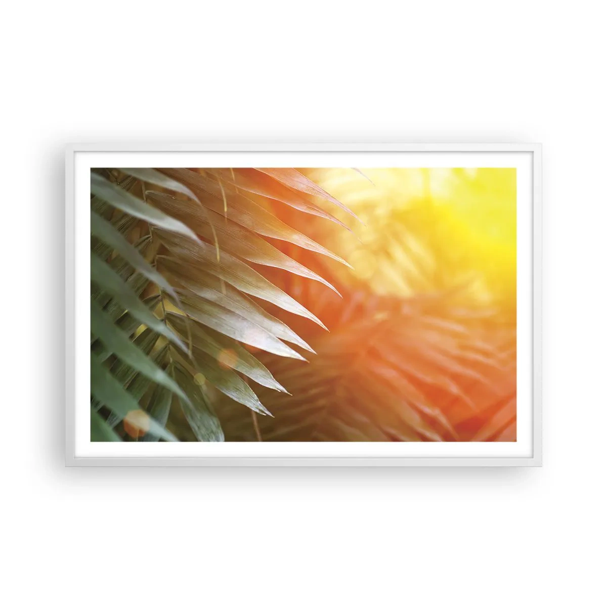 Póster en marco blanco - Mañana en la selva - 91x61 cm