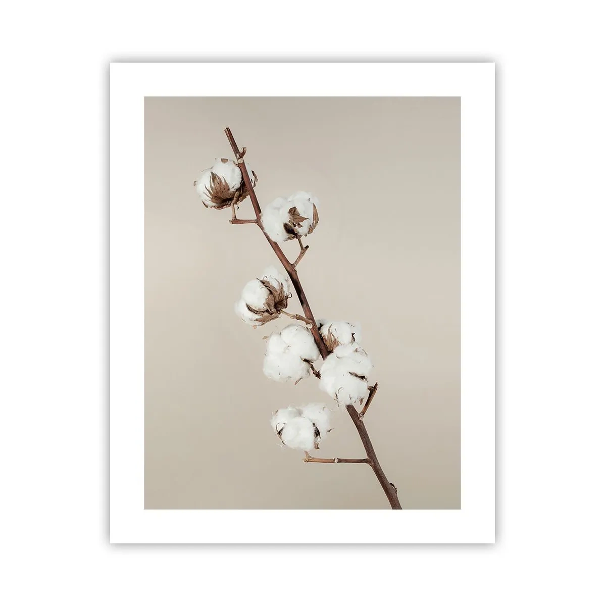 Póster - En la fuente de la suavidad - 40x50 cm