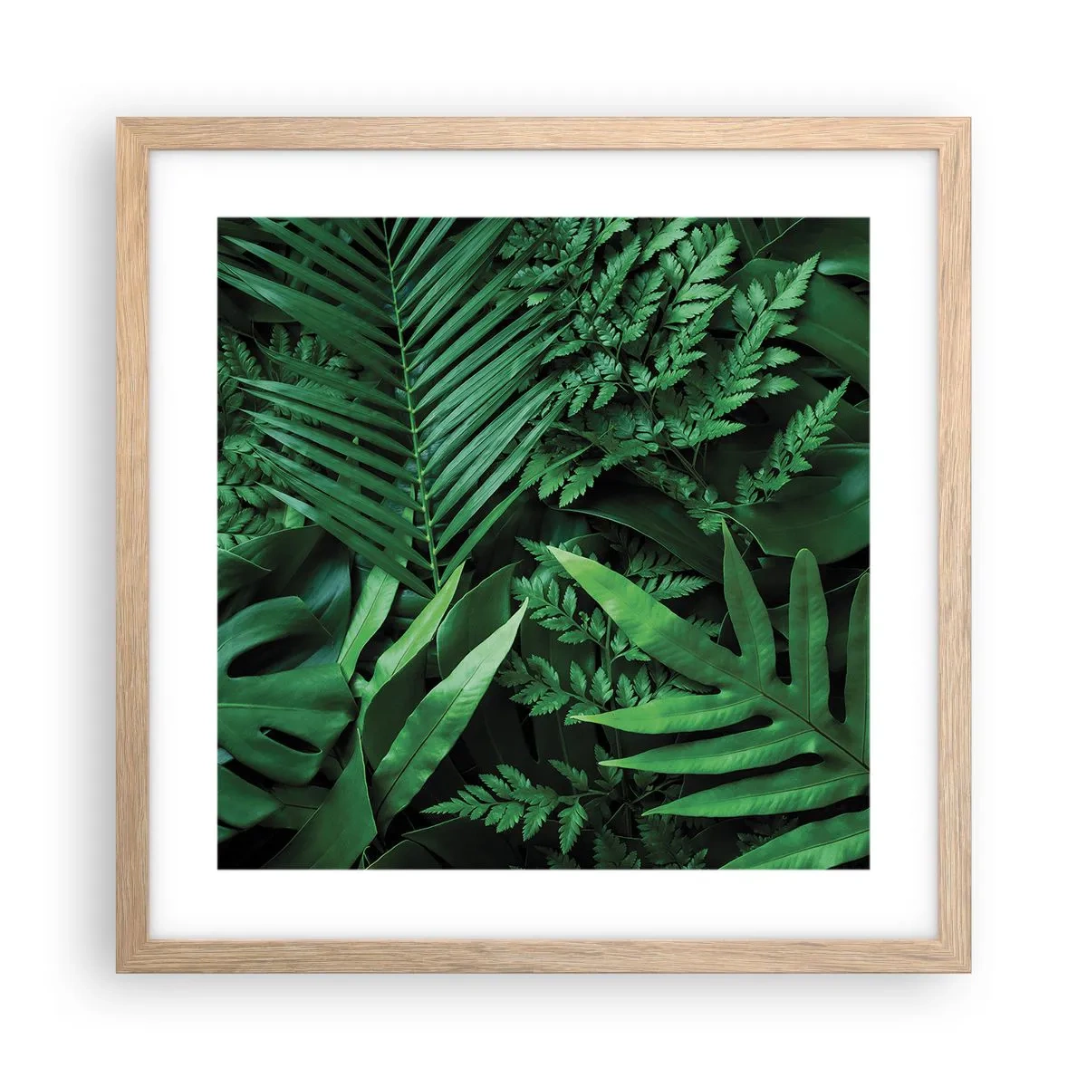 Póster en marco roble claro - Abrazo verde - 40x40 cm