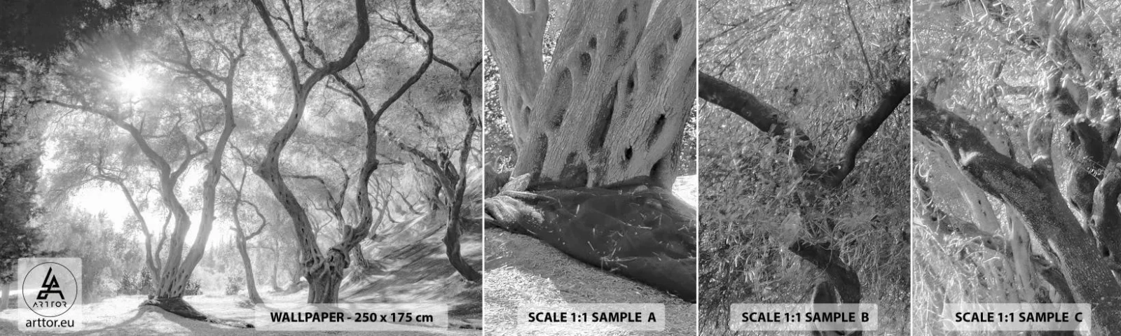 Muestra De Fotomural Standard Eco - En un olivar - Bosque, Invierno, Árboles - 100x30 cm