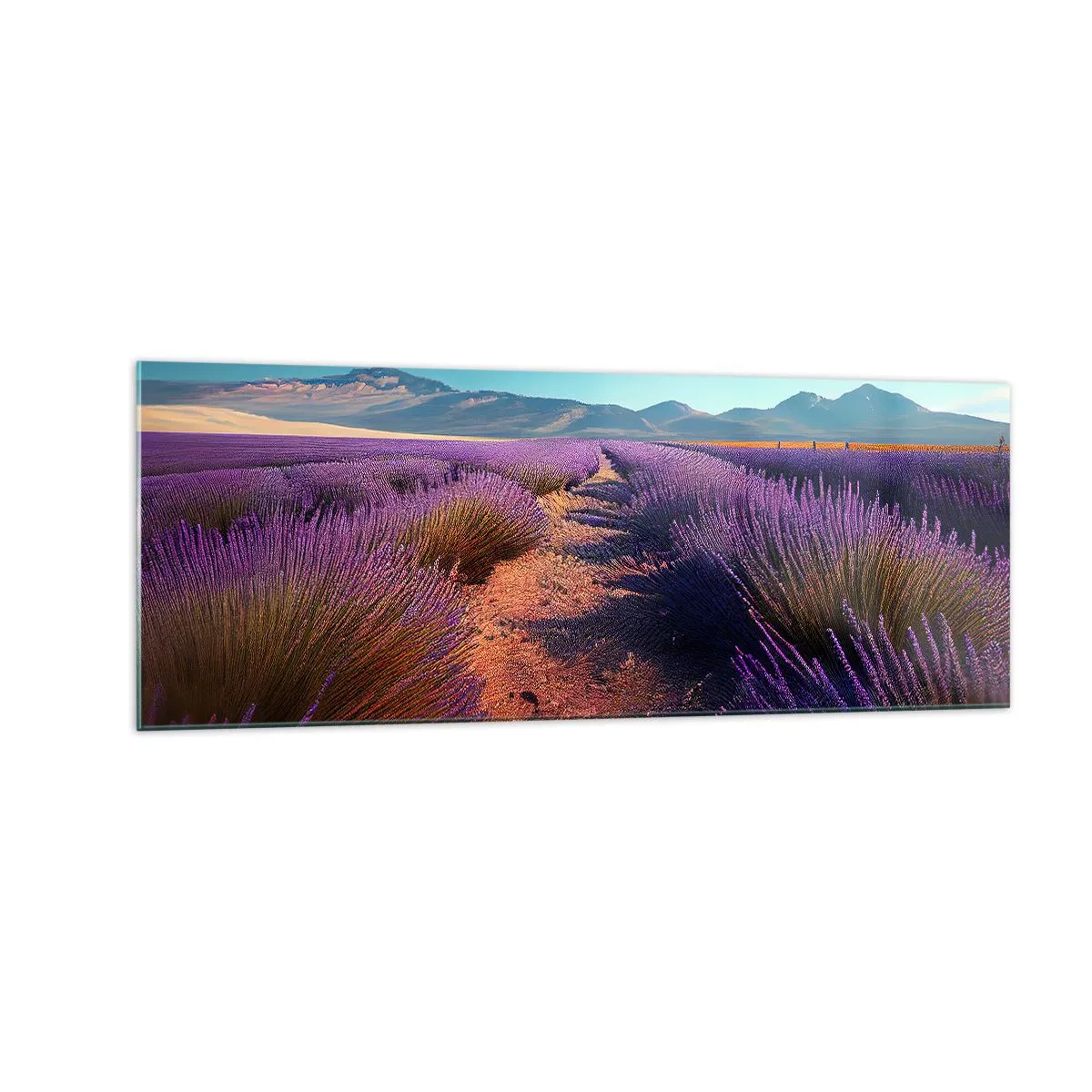 Cuadro sobre vidrio - Impresiones sobre Vidrio - Un campo de lavanda con vistas a las montañas y al cielo azul. - 140x50cm - Campos fragantes - Decoración de pared moderna para salón y dormitorio ARTTOR