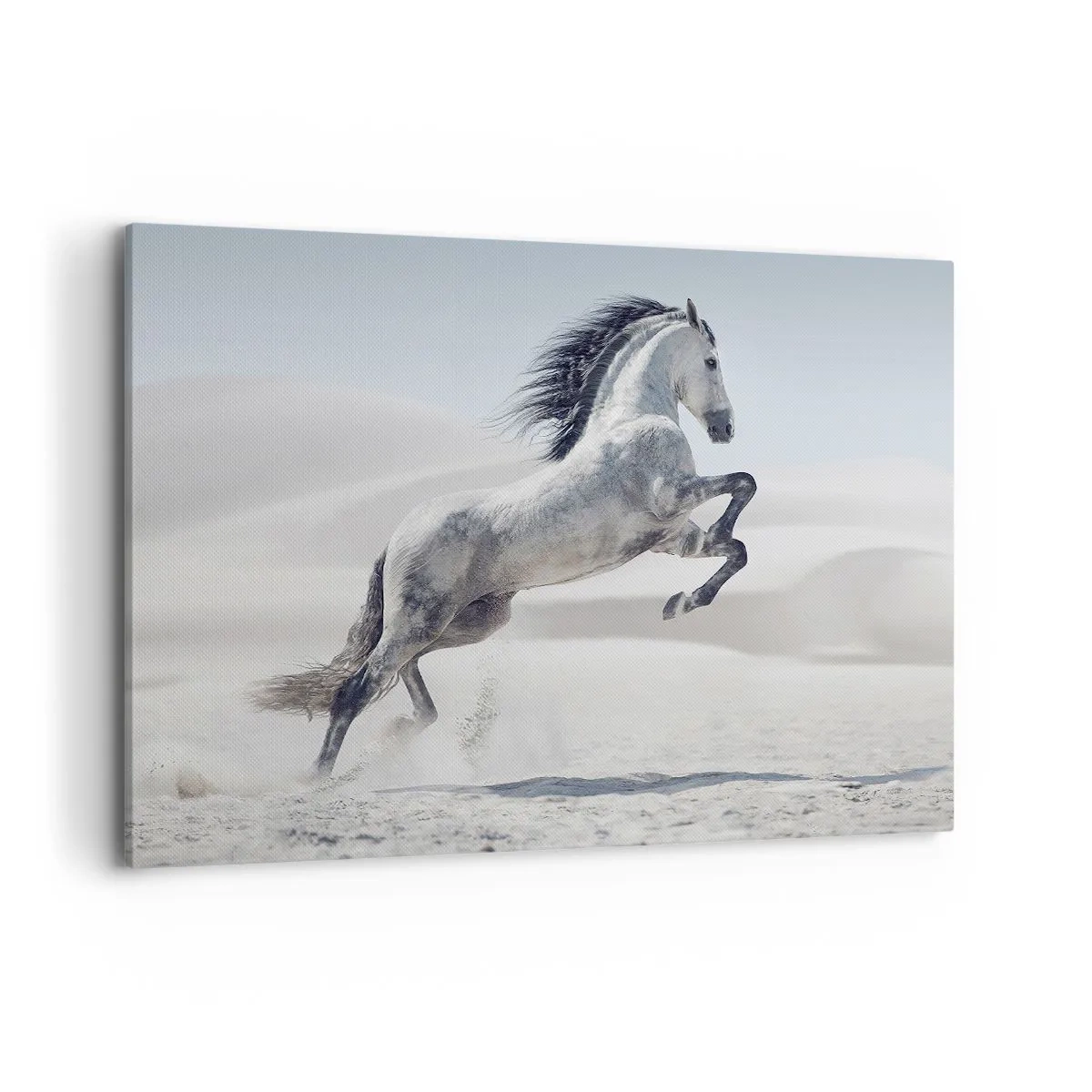 Cuadro sobre lienzo - Impresión de Imagen - Un caballo blanco galopando con las dunas del desierto como telón de fondo. - 120x80cm - Un príncipe árabe - Decoración de pared moderna para salón y dormitorio ARTTOR
