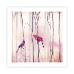 Póster - Historia de un bosque rosa - 50x50 cm