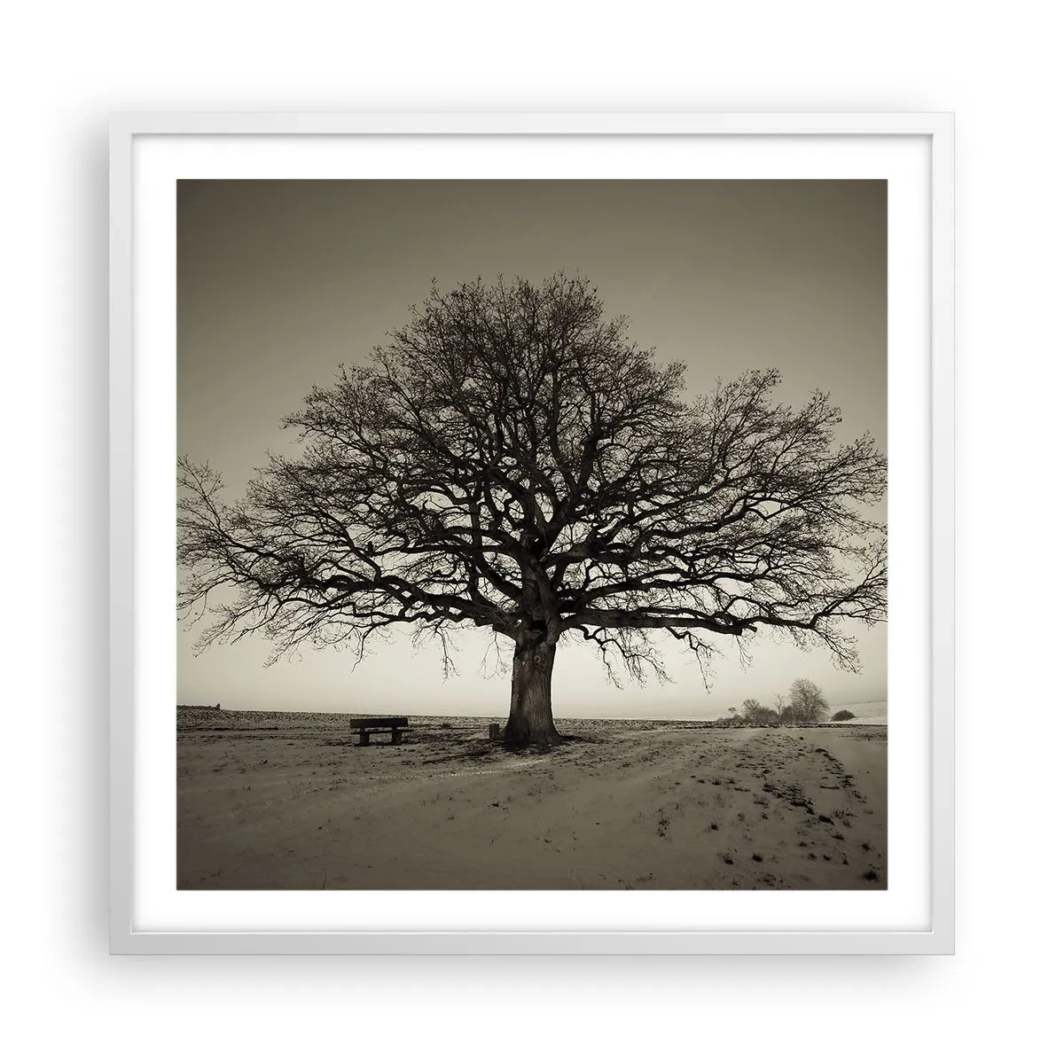 Póster en marco blanco - De aquí a la eternidad - 60x60 cm