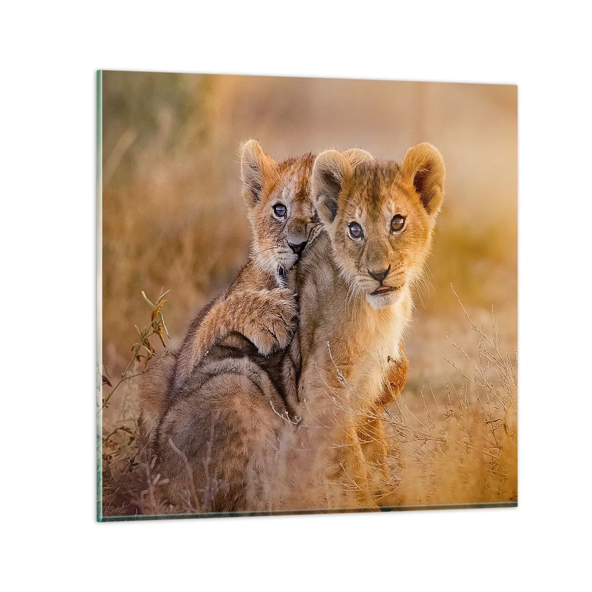 Cuadro sobre vidrio - Impresiones sobre Vidrio - ¡No molestar! Nos estamos divirtiendo - 60x60 cm