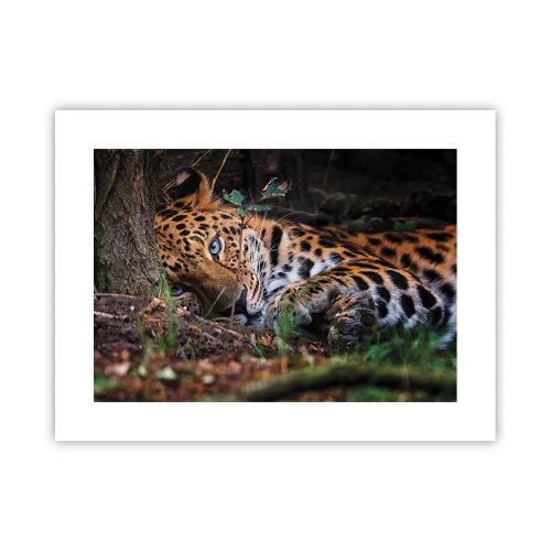 Póster - Confía en mí - 40x30 cm