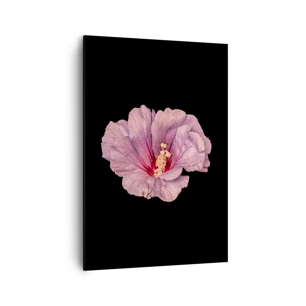 Cuadro sobre lienzo - Impresión de Imagen - Flor rosa sobre fondo negro - 70x100cm - Directo al corazón - Decoración de pared moderna para salón y dormitorio ARTTOR