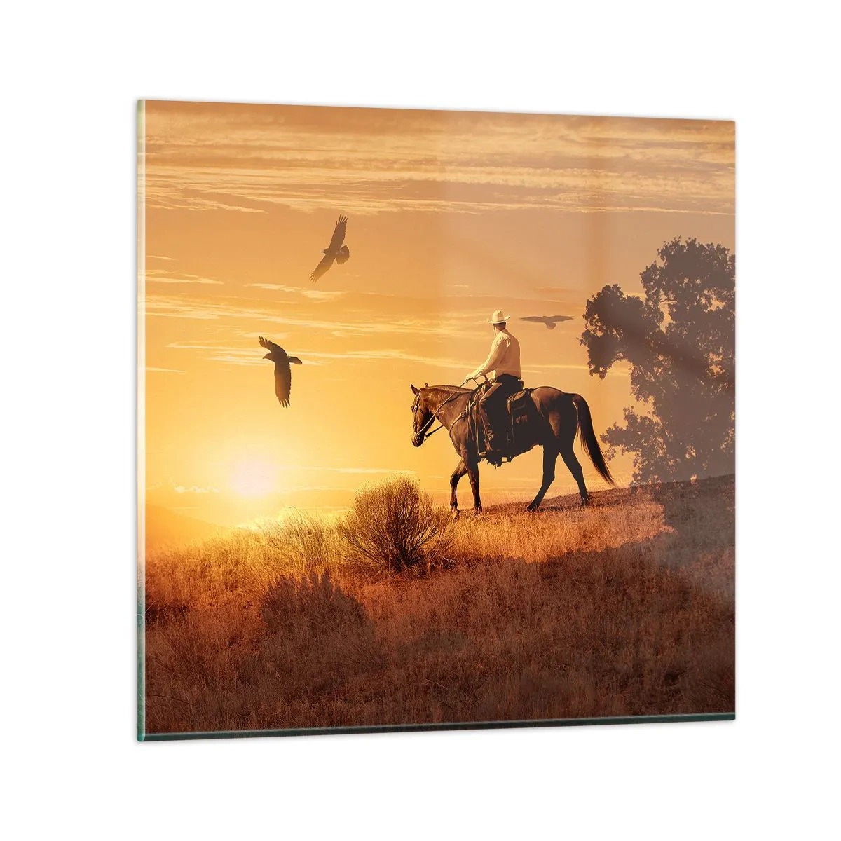 Cuadro sobre vidrio - Impresiones sobre Vidrio - Solo a través de la pradera - 60x60 cm