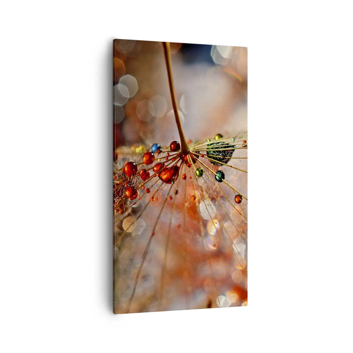 Cuadro sobre lienzo - Impresión de Imagen - En una tela de araña - 55x100 cm