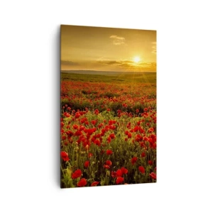 Cuadro sobre lienzo - Impresión de Imagen - Un campo de amapolas rojas bajo el resplandor del sol poniente. - 80x120cm - Entre los campos de flores - Decoración de pared moderna para salón y dormitorio ARTTOR