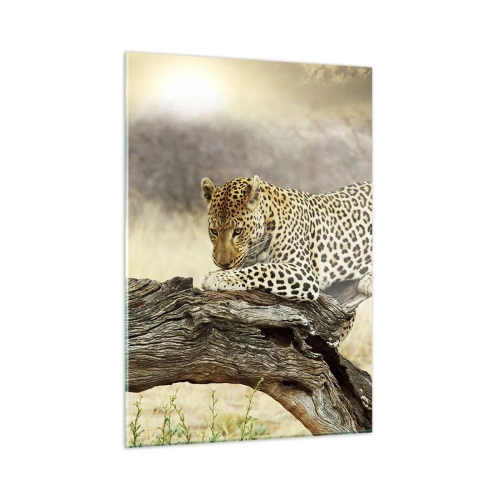 Cuadro sobre vidrio - Impresiones sobre Vidrio - Un leopardo descansando sobre una rama de madera. - 50x70cm - Voy por mi cuenta - Decoración de pared moderna para salón y dormitorio ARTTOR
