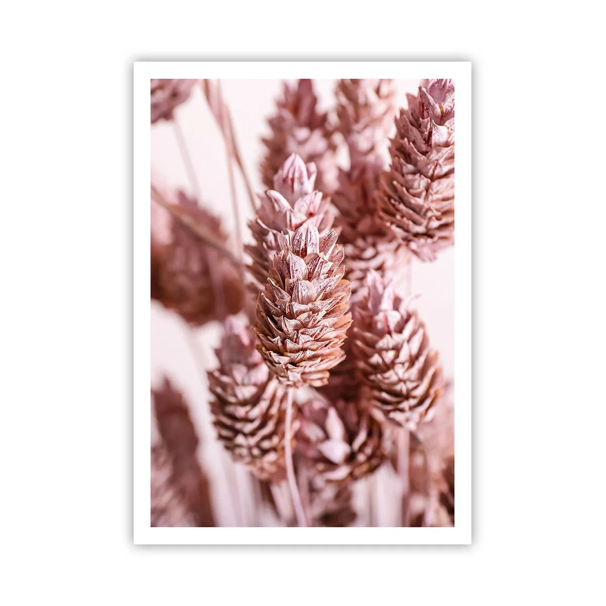 Póster - Aparentemente discreto - 70x100 cm