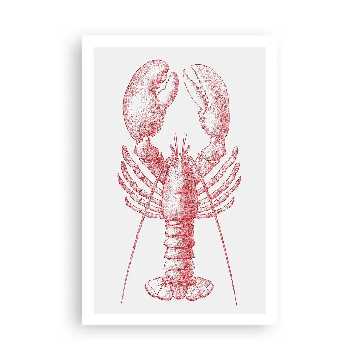 Póster - La reina de los fondos rocosos - 61x91 cm