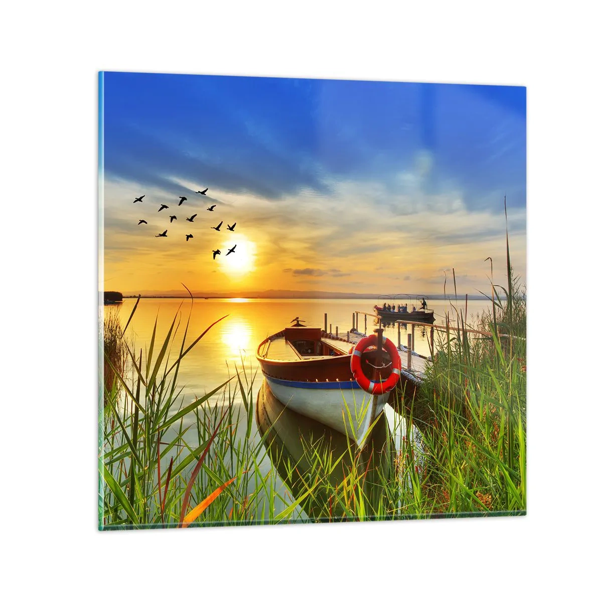 Cuadro sobre vidrio - Impresiones sobre Vidrio - Los cormoranes están volando - 70x70 cm