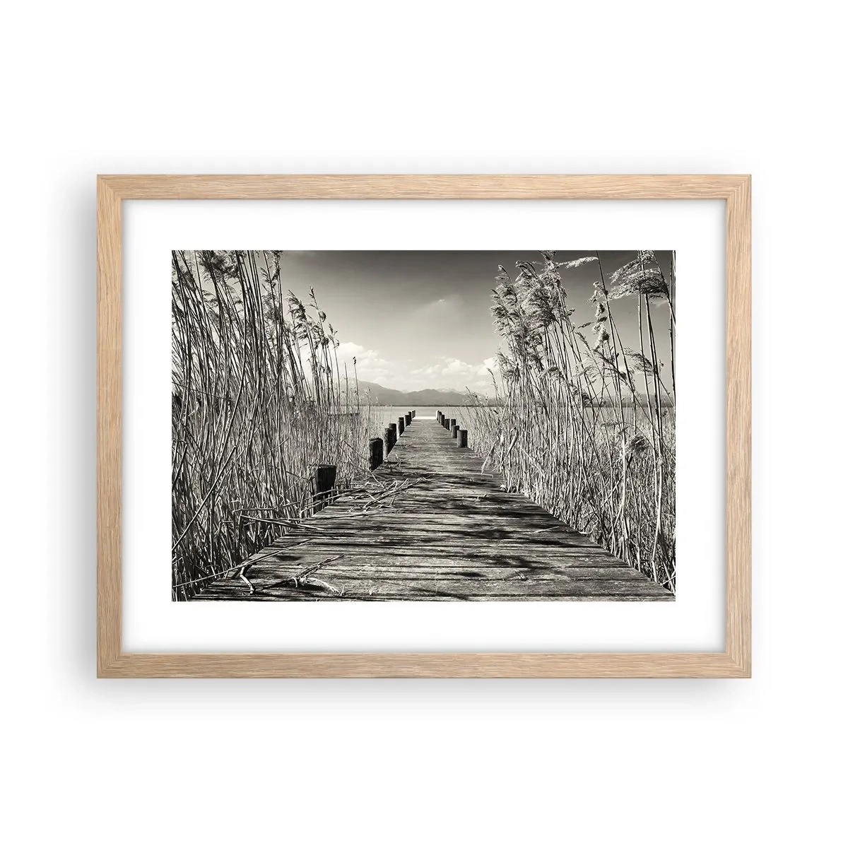 Póster en marco roble claro - En la quietud de los juncos - 40x30 cm