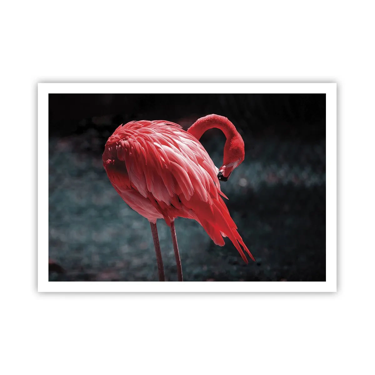 Póster - Un flamenco rosa sobre un fondo verde oscuro. - 100x70cm - Un poema carmesí de la naturaleza - Decoración de pared moderna para salón y dormitorio ARTTOR