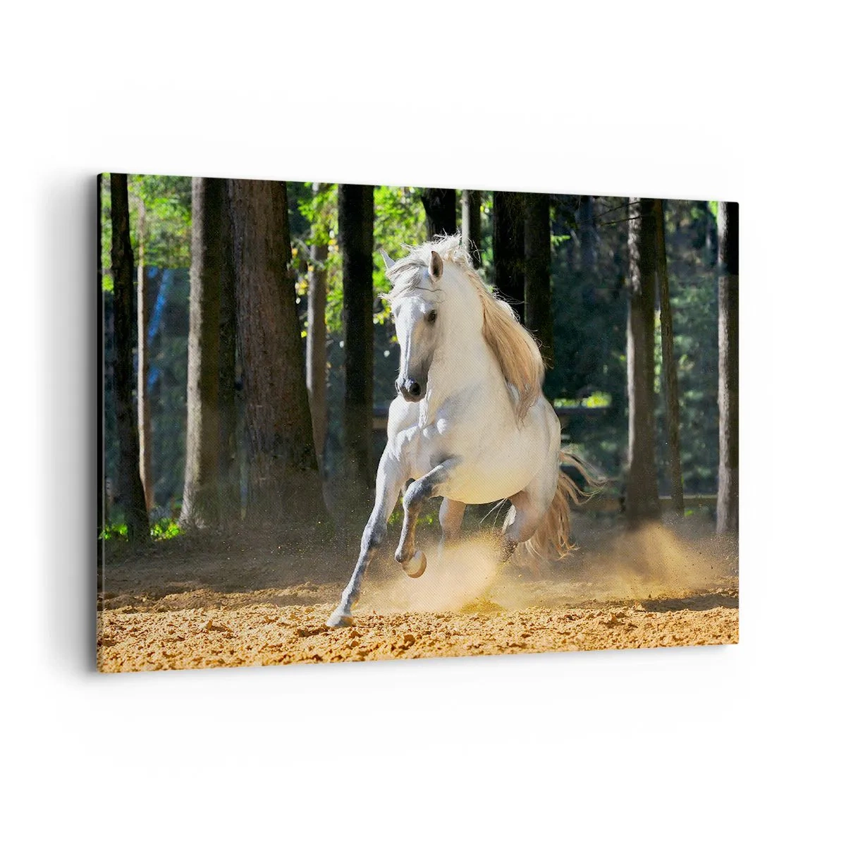 Cuadro sobre lienzo - Impresión de Imagen - Un caballo blanco galopando a través de un claro del bosque. - 100x70cm - Como en una novela de fantasía - Decoración de pared moderna para salón y dormitorio ARTTOR