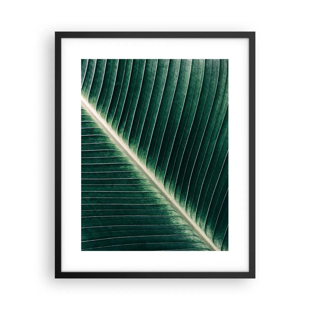 Póster en marco negro - El ritmo de la naturaleza - 40x50 cm