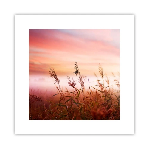 Póster - El arte del viento - 30x30 cm