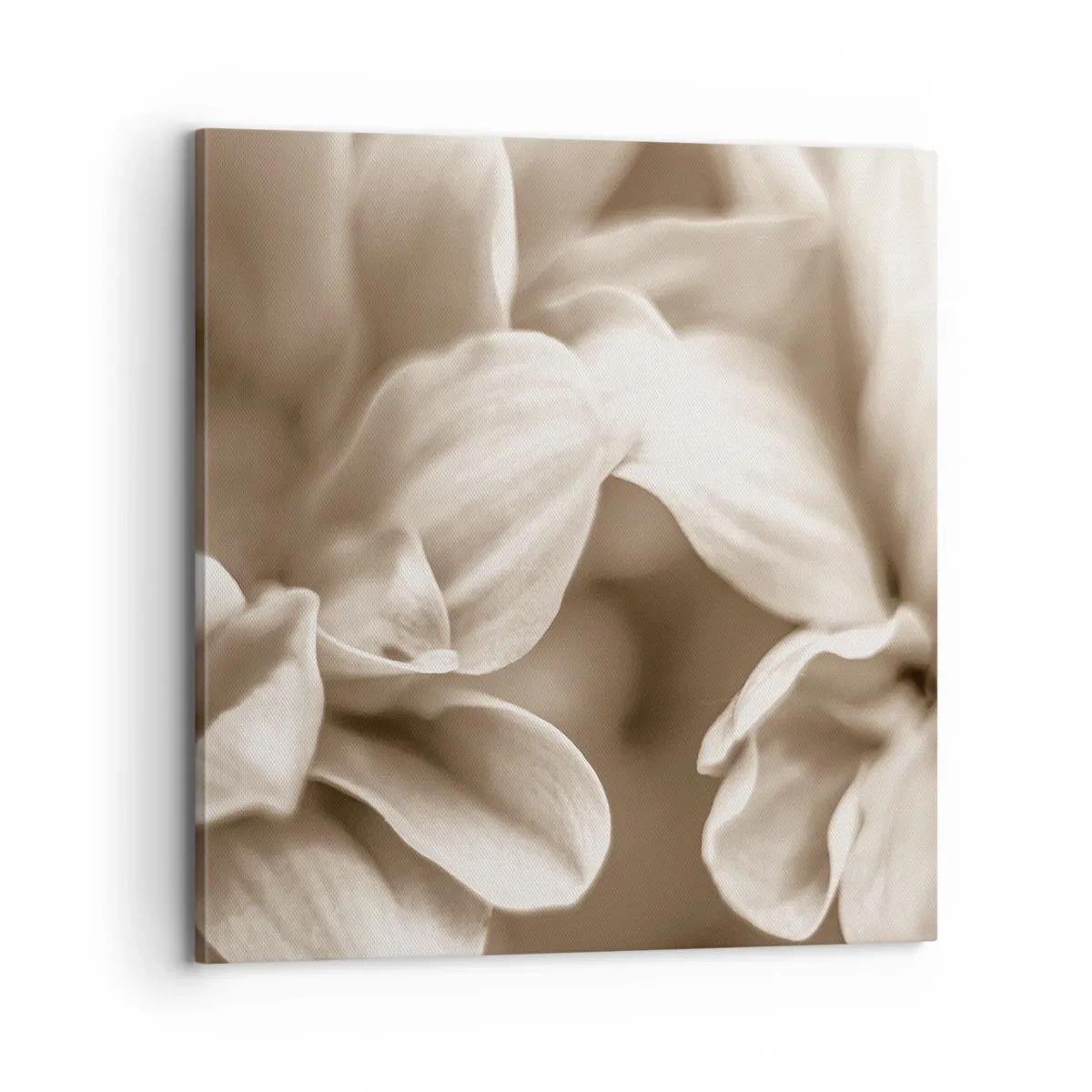 Cuadro sobre lienzo - Impresión de Imagen - Suave como una sonrisa - 70x70 cm