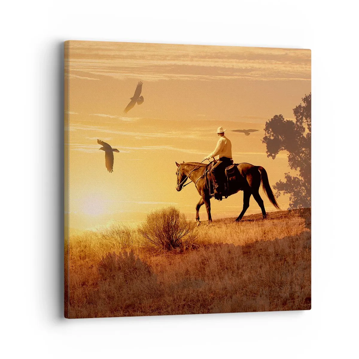 Cuadro sobre lienzo - Impresión de Imagen - Solo a través de la pradera - 40x40 cm