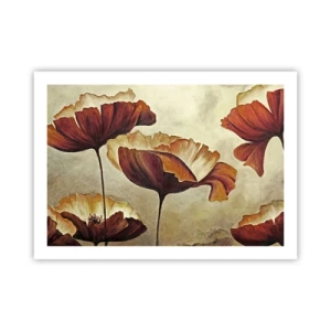 Póster - Prado de prados - 70x50 cm