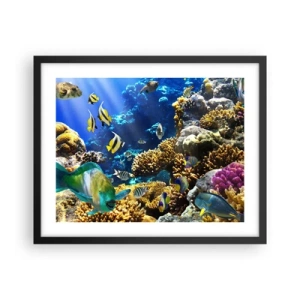 Póster en marco negro - Vacaciones submarinas - 50x40 cm