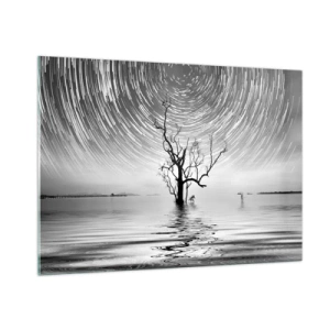 Cuadro sobre vidrio - Impresiones sobre Vidrio - Paisaje en blanco y negro con un árbol y rayas de estrellas. - 100x70cm - Una sinfonía de la naturaleza - Decoración de pared moderna para salón y dormitorio ARTTOR
