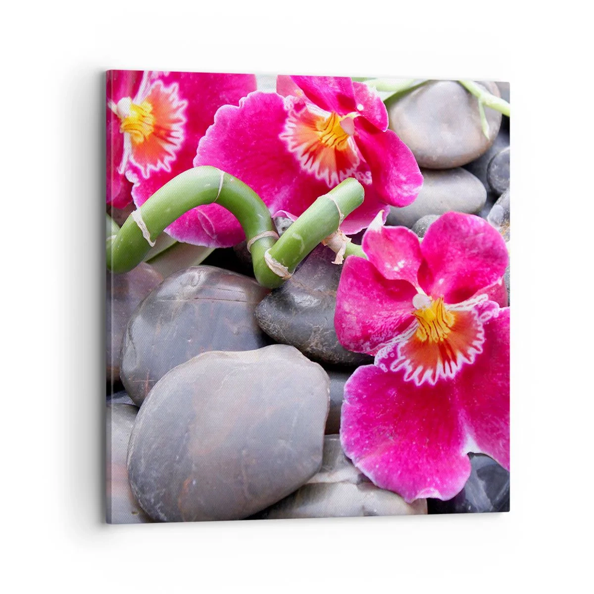 Cuadro sobre lienzo - Impresión de Imagen - Frío y calor - 70x70 cm