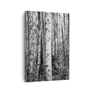 Cuadro sobre lienzo - Impresión de Imagen - Abedules blancos y negros en el bosque - 70x100cm - Columnas de abedules - Decoración de pared moderna para salón y dormitorio ARTTOR