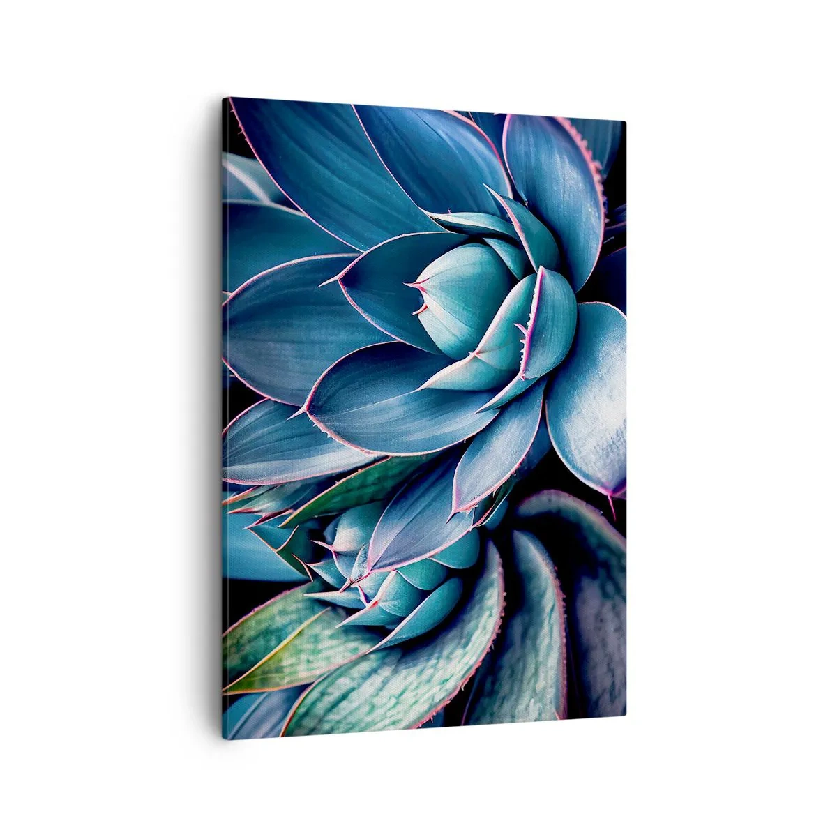 Cuadro sobre lienzo - Impresión de Imagen - Agave en tonos azules y verdes con acentos rosados. - 50x70cm - Fuerza vital - Decoración de pared moderna para salón y dormitorio ARTTOR