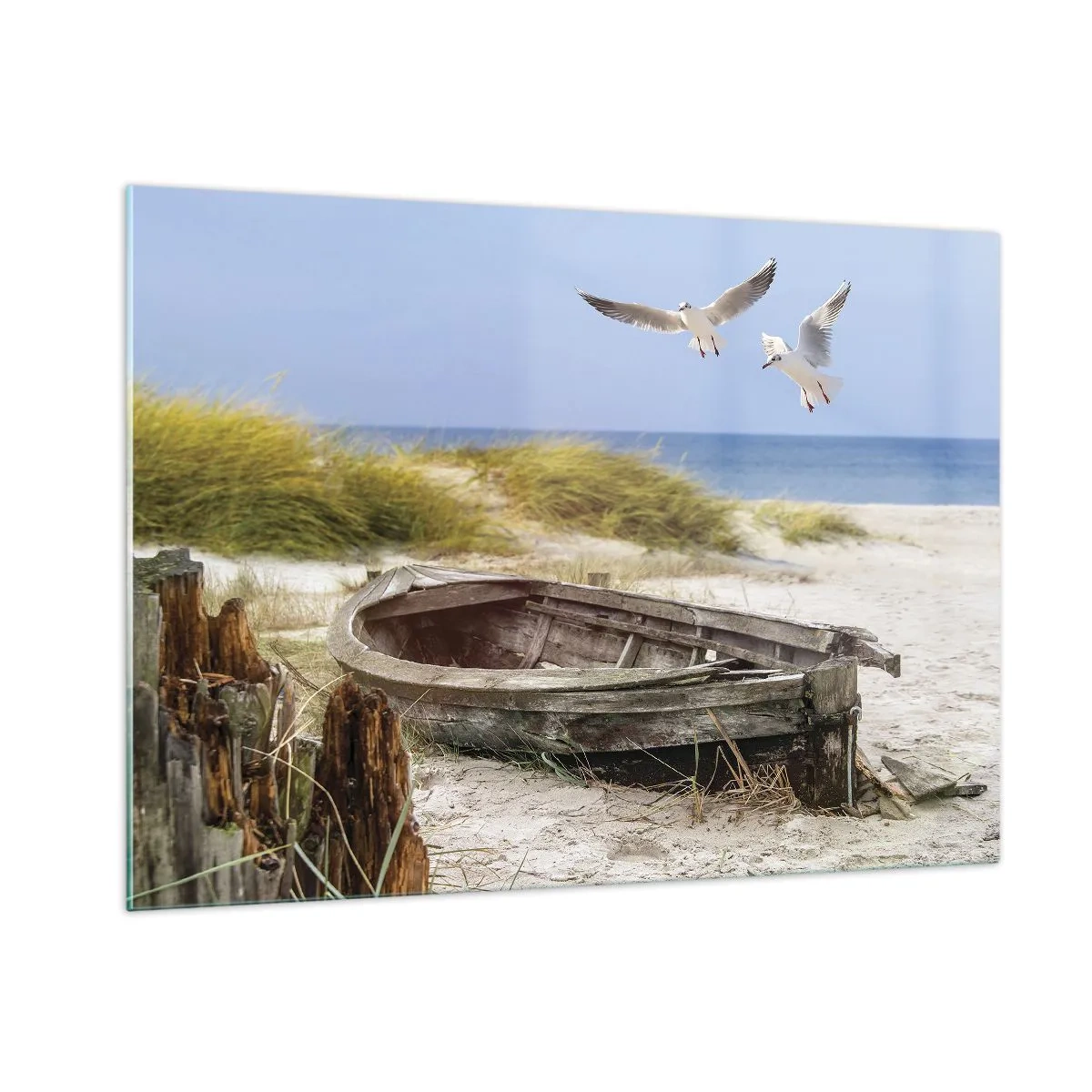 Cuadro sobre vidrio - Impresiones sobre Vidrio - Barco de madera en la playa con gaviotas en vuelo - 100x70cm - Bañada por el viento - Decoración de pared moderna para salón y dormitorio ARTTOR